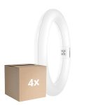 Multipack 4x Osram Tube LED T9 Circulaire (EM/Direct 230V) 11W 1320lm - 840 Blanc Froid | Équivalent 22W