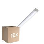 Multipack 12x Philips LED Waterdichte Montagebalk WT060C 20W 2500lm - 840 Koel Wit | 120cm