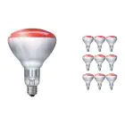 Multipack 10x Philips BR125 IR 250W E27 230-250V Rood